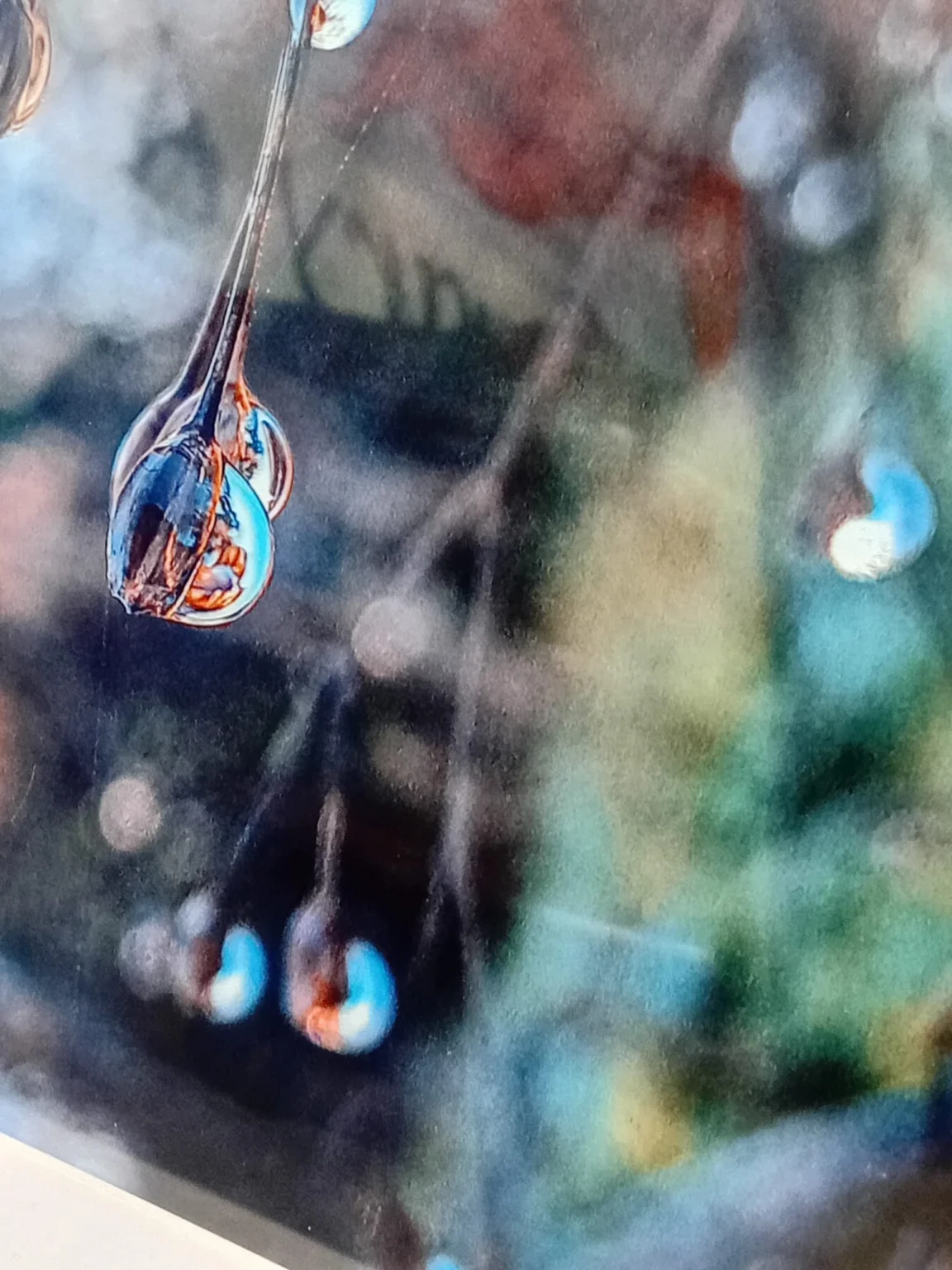 A dewdrop